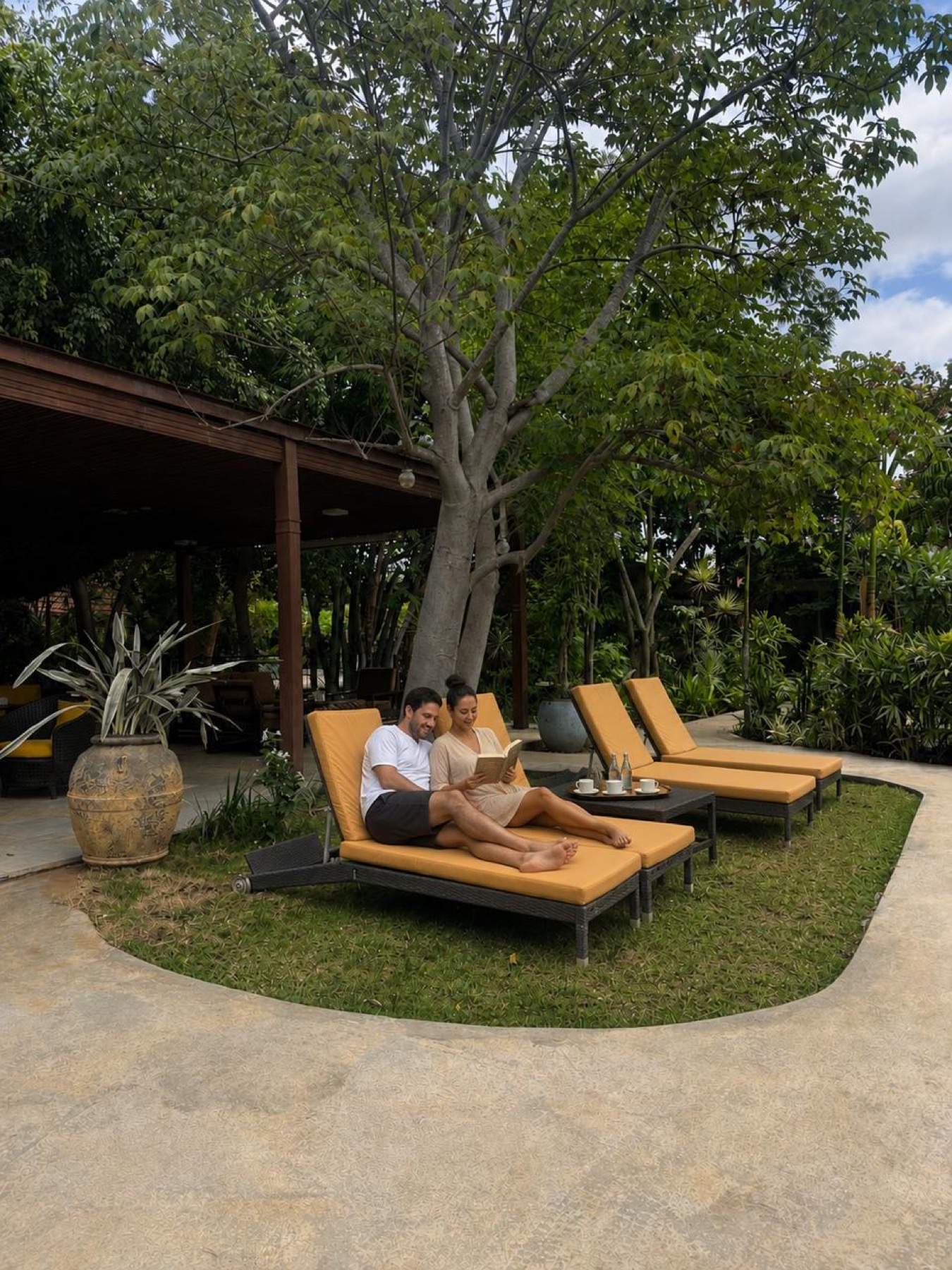 Loungers under a large tree at Orchid Tree on a slow morning