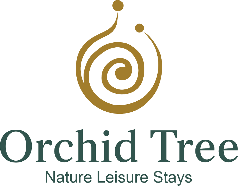 Orchid Tree