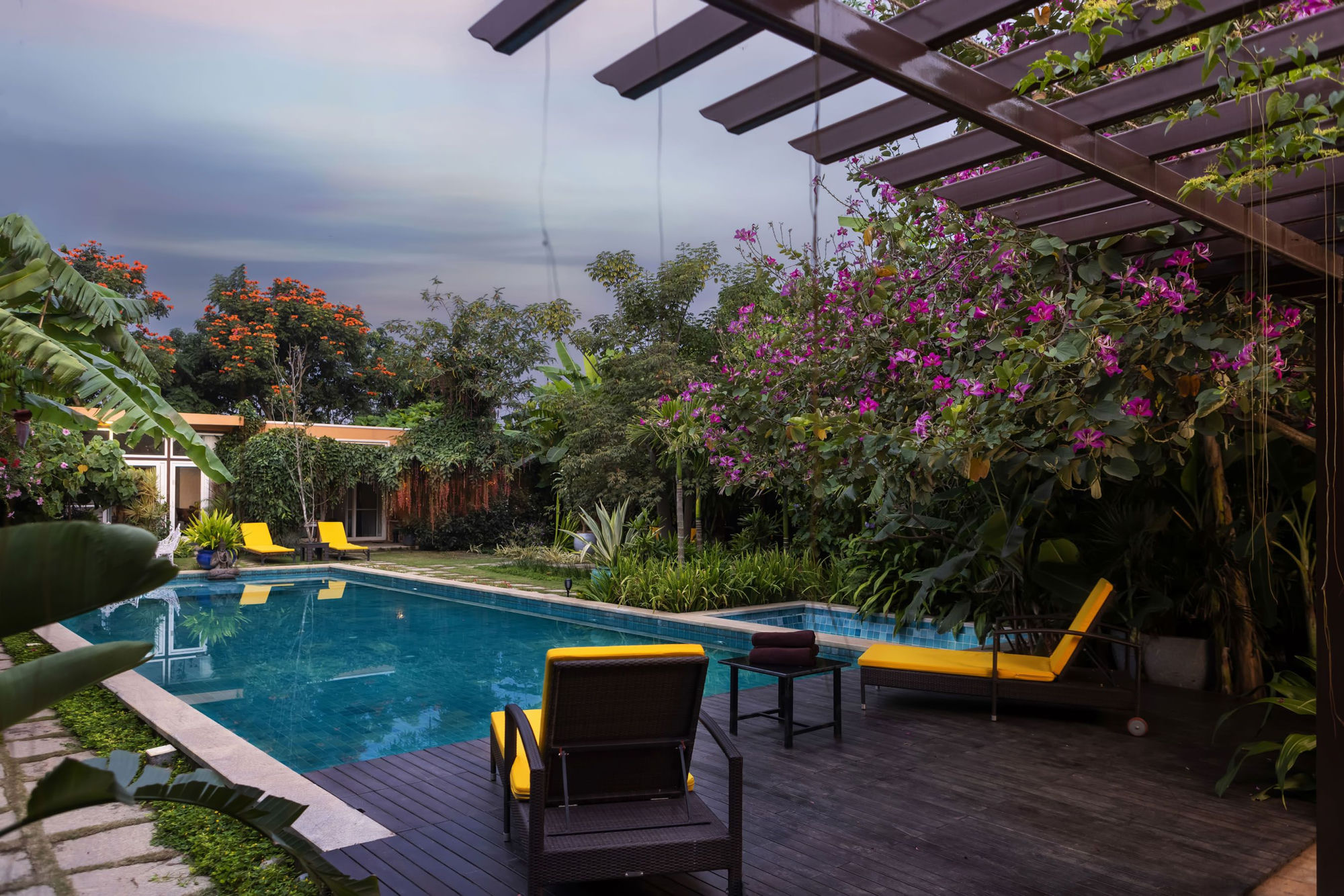 The ozone-treated pool at Orchid Tree by day, still and clear, framed by the estate gardens