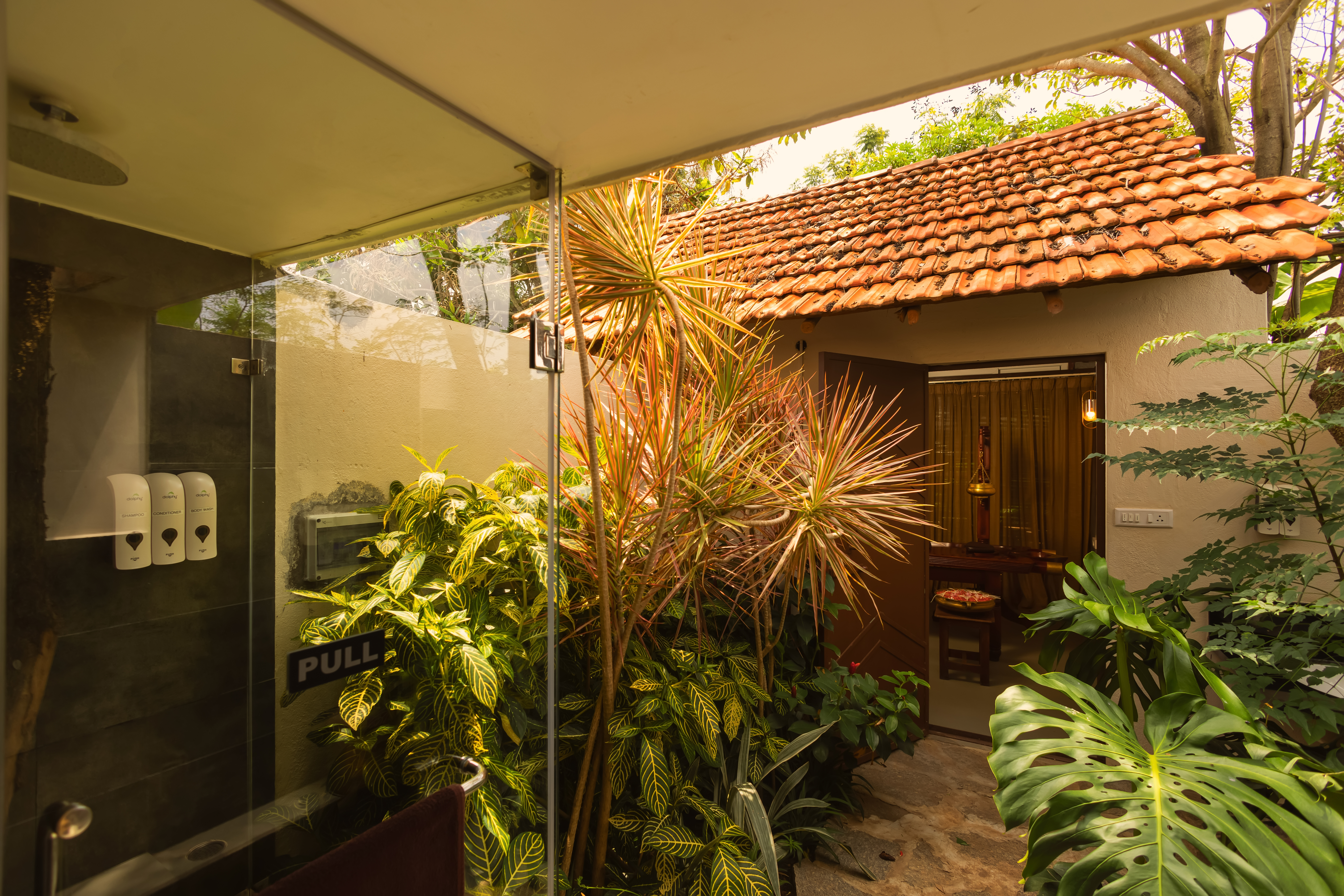 Ayurveda wellness at Orchid Tree